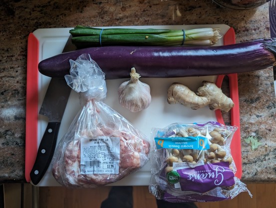 Green onion, a Chinese eggplant, 2 cloves garlic, a slice of ginger minced, some mushrooms, 1 lb of fatty ground pork