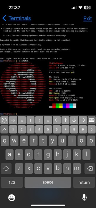 Terminal pulled up on an iphone that is ssh into a sbc. Neofetch stats displayed.