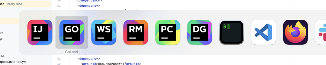 A screenshot showing numerous IDEs running at the same time, including #JetBrains IntelliJ IDEA, DataGrip, PyCharm, RubyMine, WebStorm, GoLand and VSCode