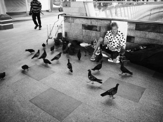 Elderly man seated against the wall surrounded by pigeons. 