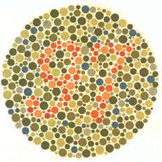 A typical Ishihara colour=cot test as used for colour vision testing. It is a bunch of different sized, different coloured dots. Depending upon the viewers colour vision abilities they may or may not be able to see a number in the middle.