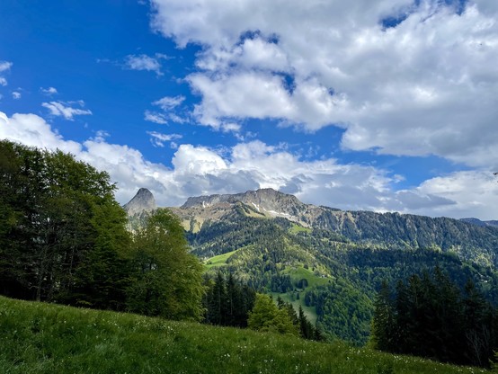 Mountains, summits, classic Switzerland.