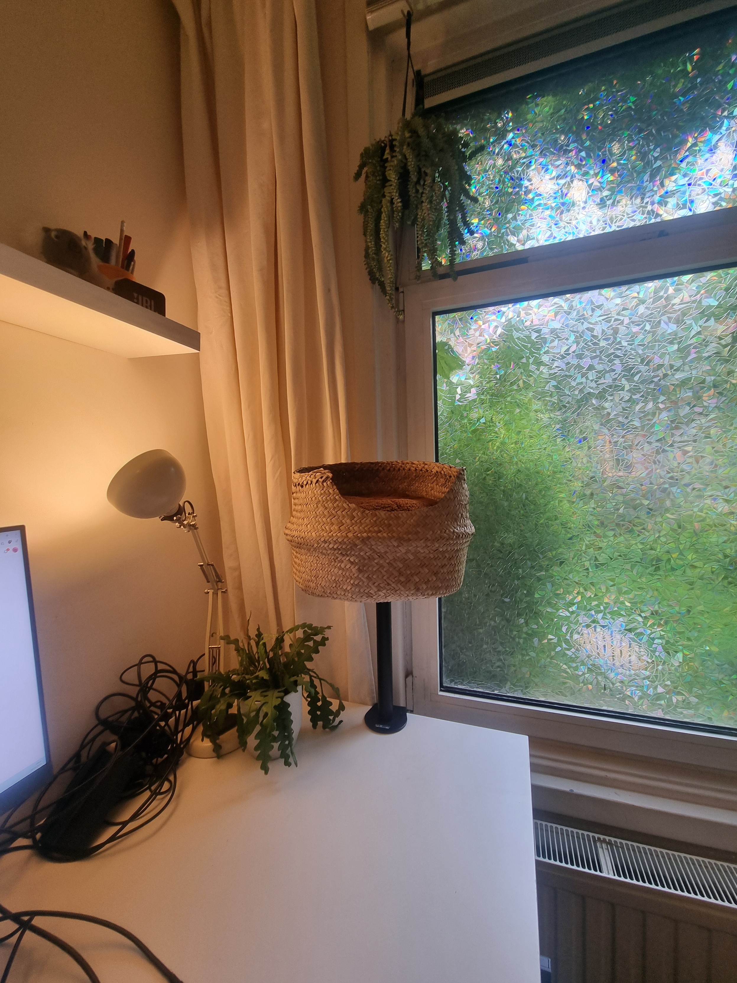 The end result: a floating basket cosplaying as a cat bed on a monitor arm. It's surpisingly sturdy and very very much hated by said cat