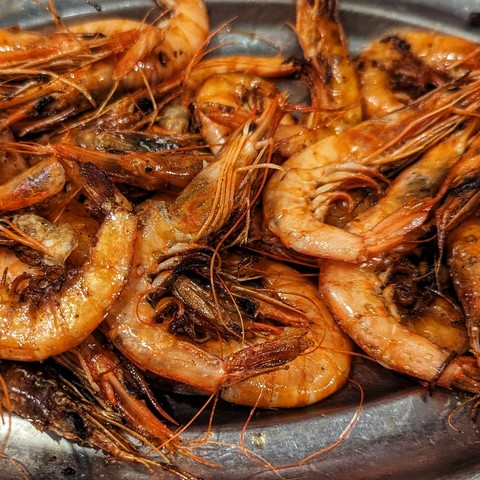 Grilled shrimp 