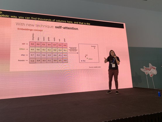 Meritxell explaining how embeddings work