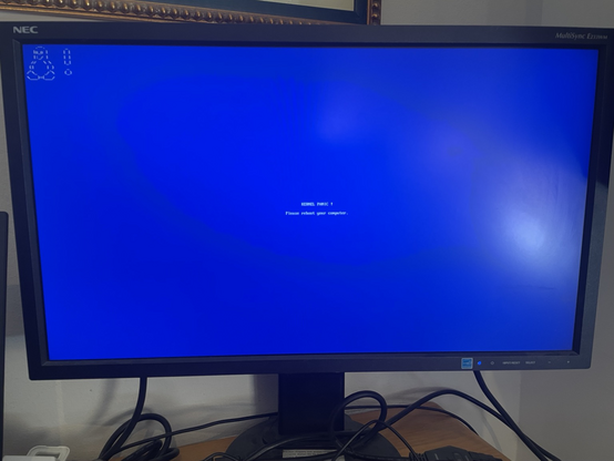 A picture of a “Blue Screen Of Death” being displayed when a Linux kernel panics