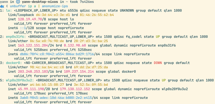 terminal output of 'ip a' with interface names, MAC and IP addresses colorized