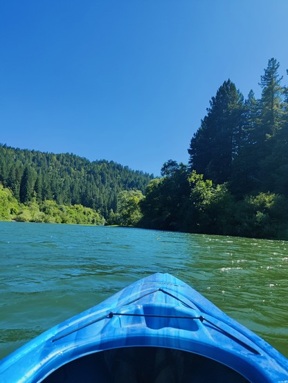 The tip of a canoe with water in all around. The trees in the distance are green, the sky blue with not a cloud.