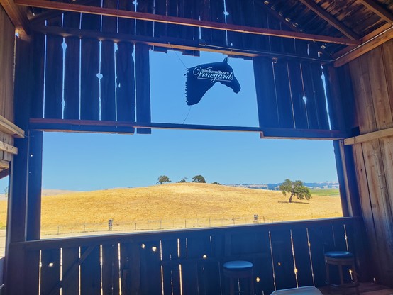 Looking out a large open window from within a wooden barn with a silhouette of a a horse head with the engraving "Reis River Ranch Vineyards". Out of the window is a rolling hill with yellow grass and a few green trees.