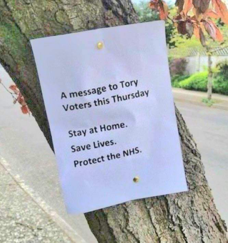 Paper pinned on tree that says:

