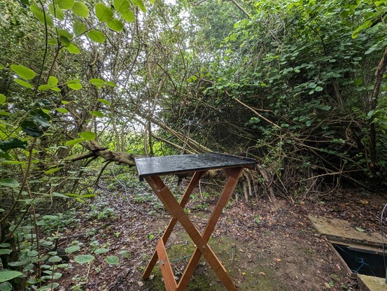 A photograph of an empty splicing table standing in a small woodland with rain water on its surface. To the right of the picture is an open chamber in the ground with a cable running out of it.