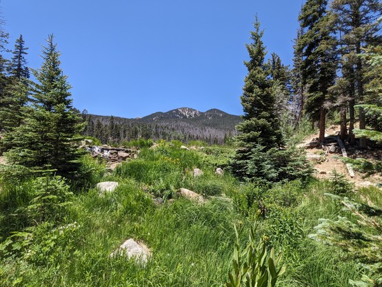 a view of the creek spilling out of Stewart Lake, Pecos Wilderness, New Mexico. In the background in the center is the top of Santa Fe Baldy. Stewart Lake is not visible.