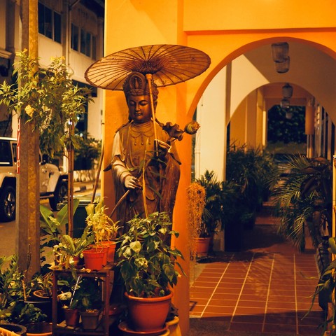Guanyin statue with open umbrella, at the walkway lined with potted plants 