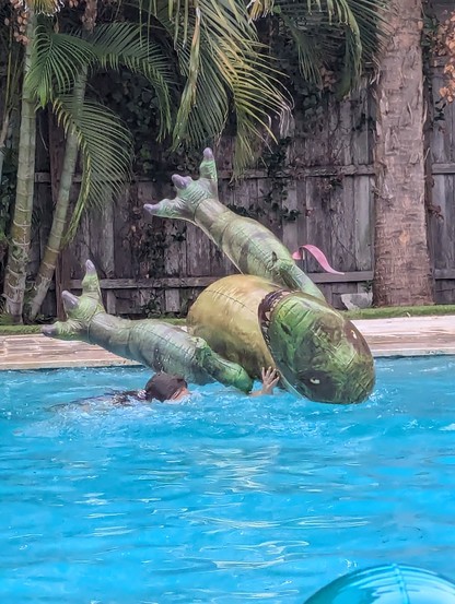 A five-foot, three-inch inflatable tyrannosaurus rex lying on its back in a backyard pool.