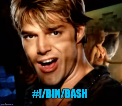 Ricky Martin with text #!/bin/bash


(reference to the Linux shebang and Martin's song 