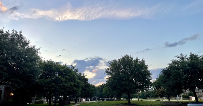 Wide photo of the sky with trees in the foreground and wispy clouds above.