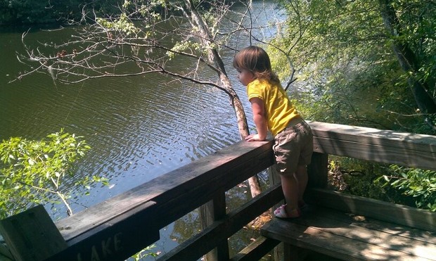 my daughter Jane overlooking Weston Lake from the boardwalk at Congaree Swamp National Park at age two