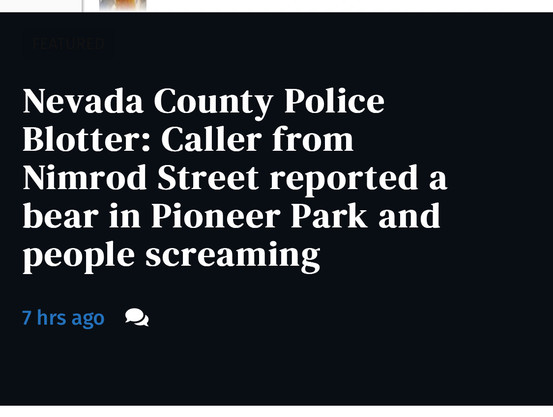 Police blotter: caller reported bear in pioneer park and people screaming. 