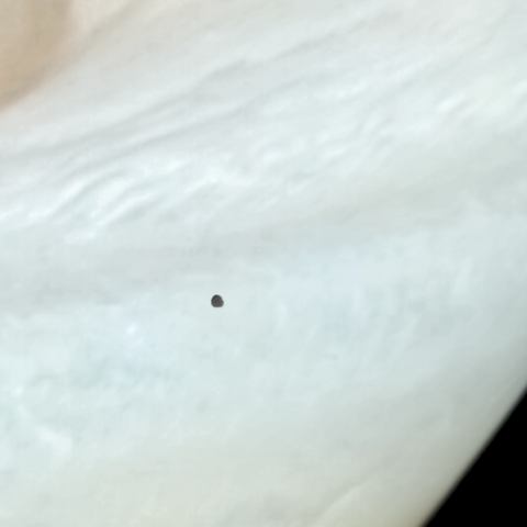 Zoom in on a composite image showing the small, potato-shaped satellite of Jupiter, Amalthea, transiting over the gas giant. Jupiter appears with its whitish clouds and swirling atmosphere. Amalthea appears grey, as only one filter was used. As seen by NASA Voyager 2 in 1979!