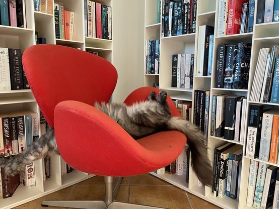 A large grey and white cat asleep on a red chair. Much of his bod is obscured, but his legs splay off to either side. 