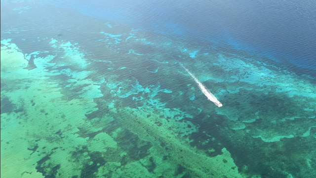 Aerial view of a shallow reef area with turquoise, blue, green, and dark areas with a white boat's wake cutting across the right third. 