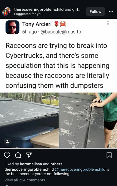 Screenshot of a fellow rusteacan on instagram letting people know raccoons are confusing cybertucks for dumpsters 