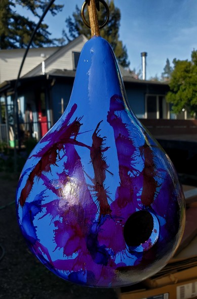 Blue, tear drop shaped gourd bird house with purple lines. Photo taken from front showing the hole into the gourd, hanging from stem