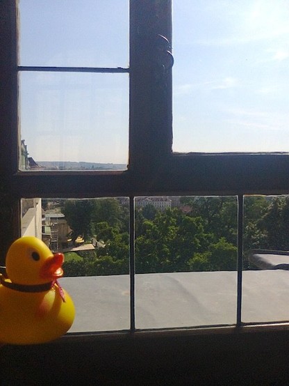 Small yellow rubber duck in front of a window inside of Prague Castle.