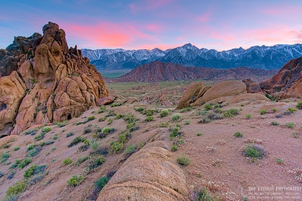 A color photo of a sunset over a distant very tall and rugged snow covered  mountain range. In the middle ground there is a large hill of highly fragmented bounders. In front of the large hill is a relatively flat area covered in short spring time green growth. In the foreground are two large pile of boulders on the left and right side of the frame. The photographer is standing on a conical rock formation, like a large snake's tail, that points toward the large hill in the middle ground and the distant snow covered mountain range. There's a few orange colored clouds and the ground in the foreground has a pinkish hue due to reflected sunset colors.