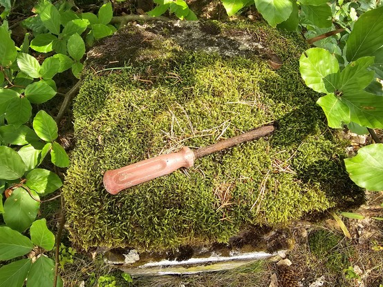 An old, rusty screwdriver found in the middle of the forest.