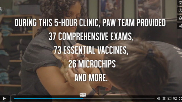 DURING THIS 5-HOUR CLINIC, PAW TEAM PROVIDED 37 COMPREHENSIVE EXAMS 