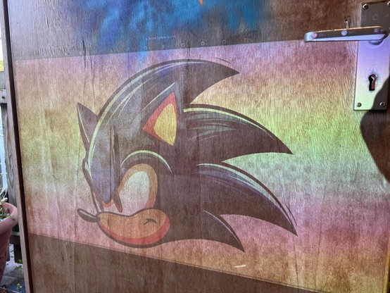 A wooden door with a stylized image of a hedgehog character projected onto it. There is a metal door handle and keyhole on the right side.
