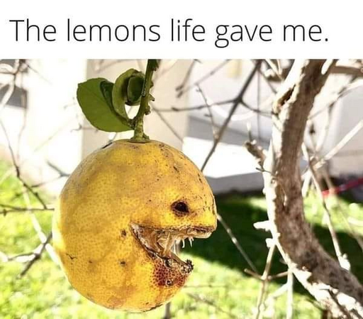 Photo: a lemon has rotted so that in profile it looks like it has an angry undead gaping mouth and blackened eyehole

Caption: the lemons life gave me
