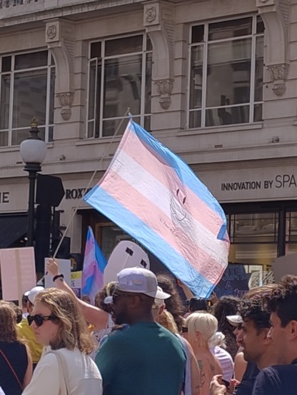 a trans flag with a :3 on it