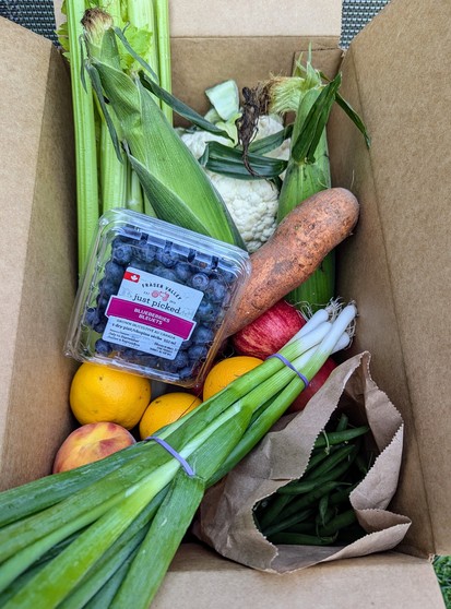 A box of mixed fruit and vegetables that was delivered this morning. Counter clockwise from bottom right: green beans, green onion, oranges, nectarines, blueberries (Surrey BC), celery, corn, cauliflower, sweet potato and apples. Thankfully no zucchini!