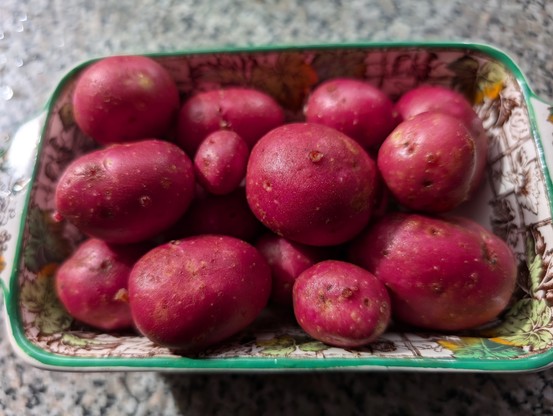 A dish of rooster potatoes 