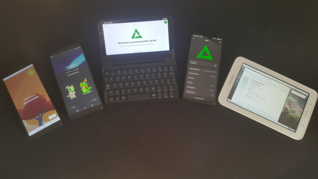 Left to right: pinephone (braveheart), pinephone (braveheart - latest mboard), pinephone pro (with keyboard obviously), oneplus 6 and an old and very slow samsung tablet  :D