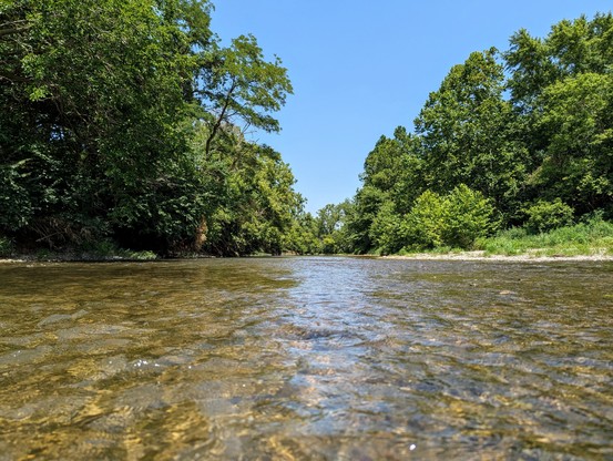 A low angle photo taken from the middle of a shallow stream with lush green trees on both sides stretching into the vanishing point under a cloudless blue skies. 