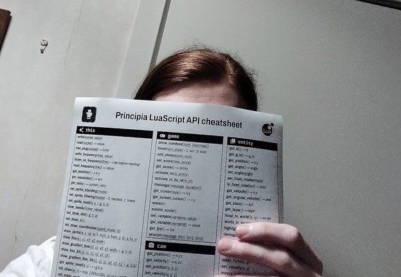 Photo of the black-and-white version of the cheatsheet printed out on paper. ROllerozxa is holding it, but the paper covers most of his face except for some of his hair and the hand he is holding the paper with.