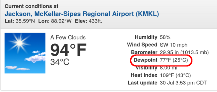Dewpoint of 77F / 25C in Jackson, Tennessee at 4 PM CDT

Temperature 94F / 34C 
Heat Index 109F / 43C