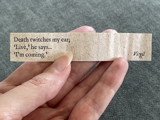 My hand holding a strip of paper with the text:

Death twitches my ear;
‘Live,’ he says...
‘I’m coming.’
Virgil