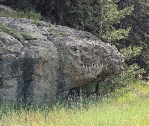 An outcrop of rock that has been decorated with smaller rocks to look like the head of a dinosaur or some sort of prehistoric lizard. Small rocks like teeth have been cemented into a horizontal crack in the rock, and there's a light-colored rock for an eye with a vertical-slit pupil painted on it.