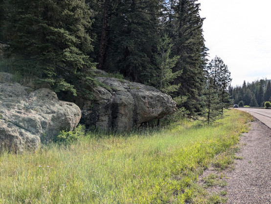 Wider view of the rock decorated to look like a prehistoric lizard, showing that it's just off the side of the highway