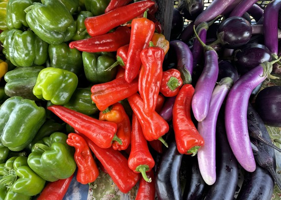  Colorful fresh peppers and eggplant tumbled together. 