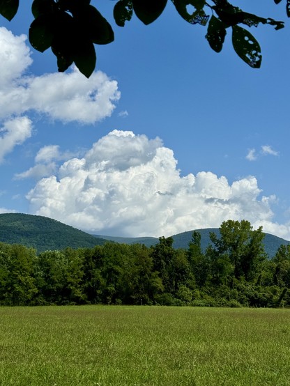 Big thunderheads climbing up a blue sky over green mountains across a hay field. 