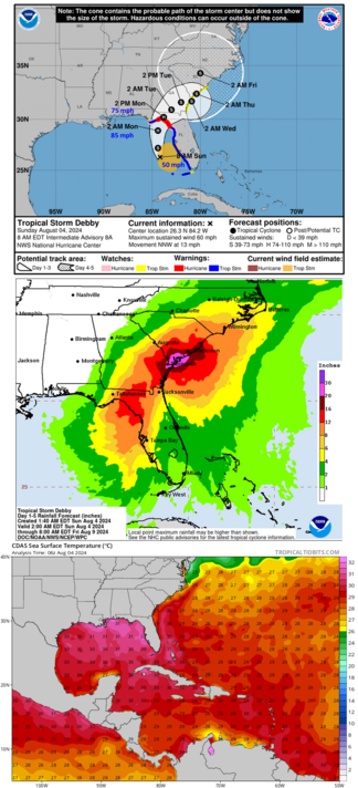 1. Storm track and intensities
2. Rain forecast
3. Sea surface temperatures in the gulf region
