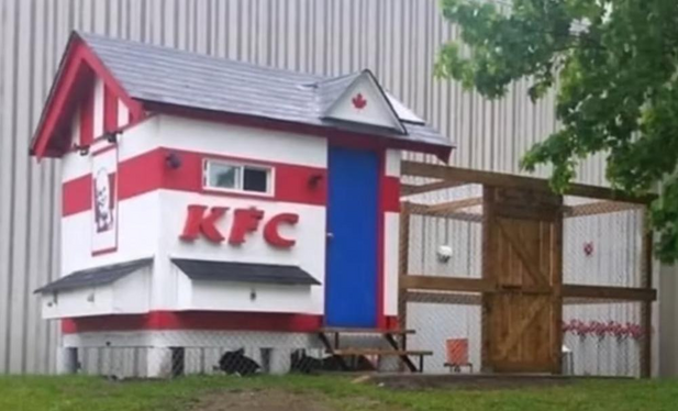 a chicken coop decorated to look like a KFC shop.