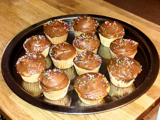 A steel tray, circular in shape where twelve cupcakes sit. The cupcakes are frosted with chocolate buttercream and rainbow sprinkles.