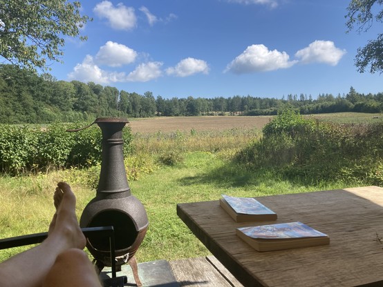 Udsigt fra terrassen. I forgrunden er der fødder på en stol og en havepejs. Udsigt over en svensk kornmark med skov i baggrunden. Blå himmel med små hvide skyer.  