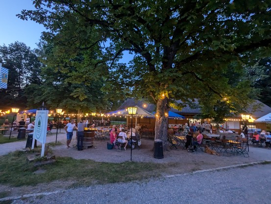 A Biergarten after sunset. Lots of people sitting around tables underneath large chestnut trees. 
